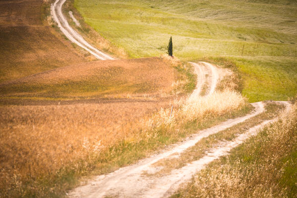 Val d'Orcia, Tuscany, Italy