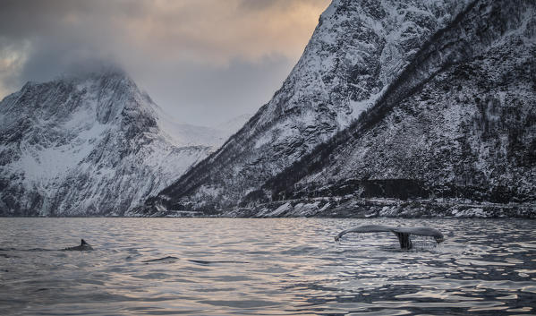 Mefjordvaer, Senja Island, Norway
