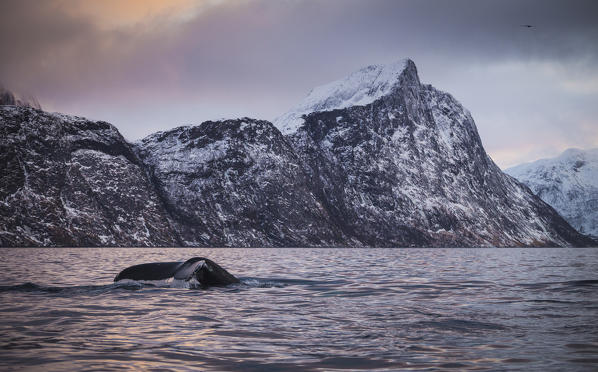 Mefjordvaer, Senja Island, Norway