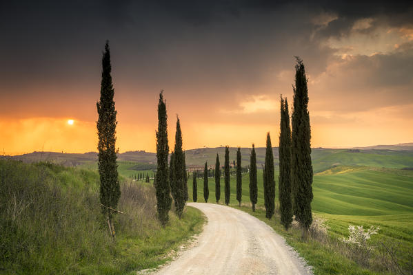 Podere Baccoleno, Asciano, Crete senesi, Tuscany, Italy