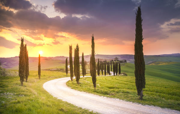 Podere Baccoleno, Asciano, Crete senesi, Tuscany, Italy