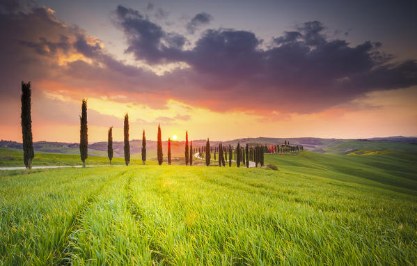 Podere Baccoleno, Asciano, Crete senesi, Tuscany, Italy