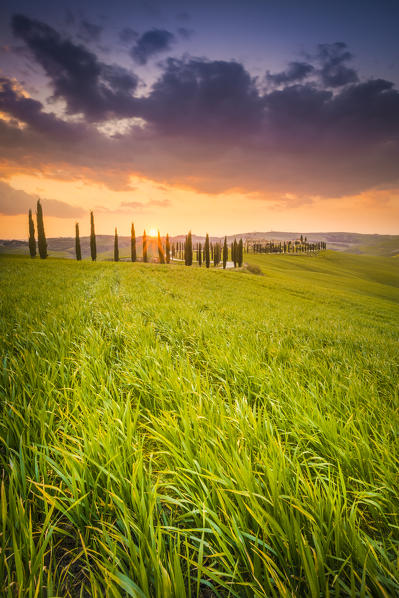 Podere Baccoleno, Asciano, Crete senesi, Tuscany, Italy