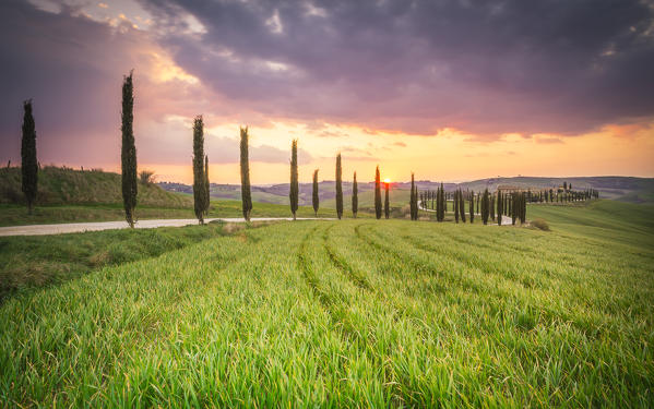 Podere Baccoleno, Asciano, Crete senesi, Tuscany, Italy