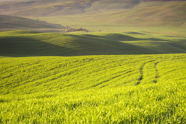 San Quirico d'Orcia countryside, Val d'Orcia, Tuscany, Italy