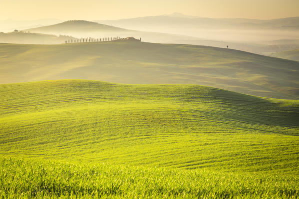 San Quirico d'Orcia countryside, Val d'Orcia, Tuscany, Italy