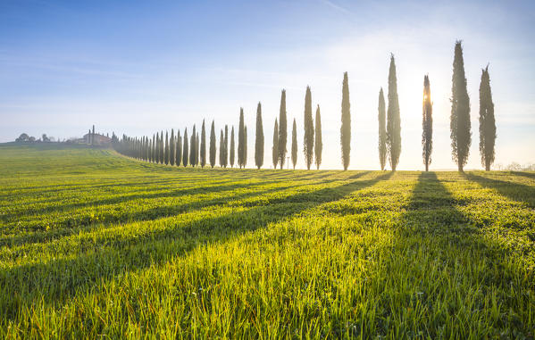 Poggio Covili, Castiglione d'Orcia, Val d'Orcia, Tuscany, Italy