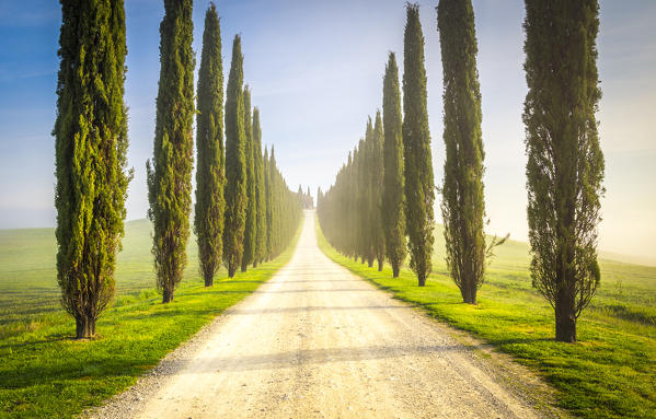 Poggio Covili, Castiglione d'Orcia, Val d'Orcia, Tuscany, Italy