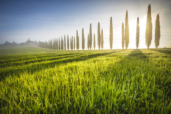 Poggio Covili, Castiglione d'Orcia, Val d'Orcia, Tuscany, Italy