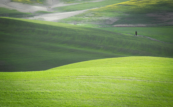 San Quirico d'Orcia countryside, Val d'Orcia, Tuscany, Italy