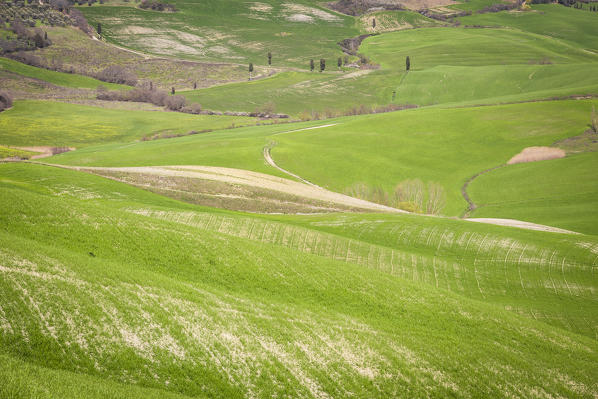 San Quirico d'Orcia countryside, Val d'Orcia, Tuscany, Italy