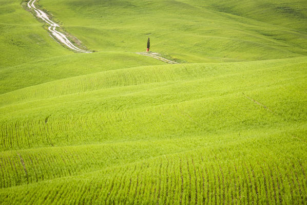 San Quirico d'Orcia countryside, Val d'Orcia, Tuscany, Italy