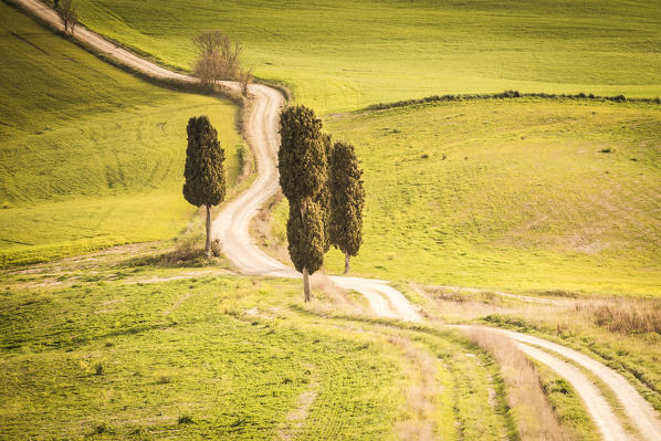 Podere Terrapille, Pienza, Val d'Orcia, Tuscany, Italy