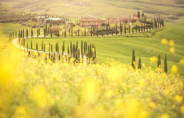 Podere Baccoleno, Asciano, Crete senesi, Tuscany, Italy