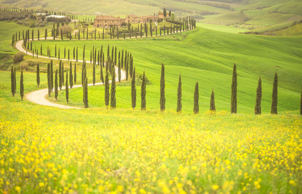 Podere Baccoleno, Asciano, Crete senesi, Tuscany, Italy