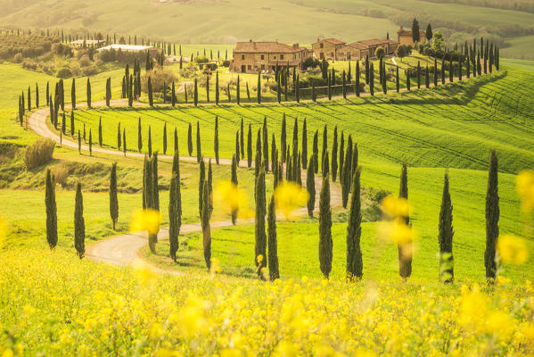 Podere Baccoleno, Asciano, Crete senesi, Tuscany, Italy