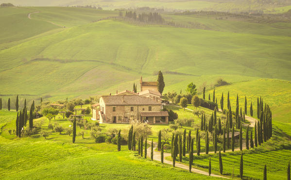 Podere Baccoleno, Asciano, Crete senesi, Tuscany, Italy