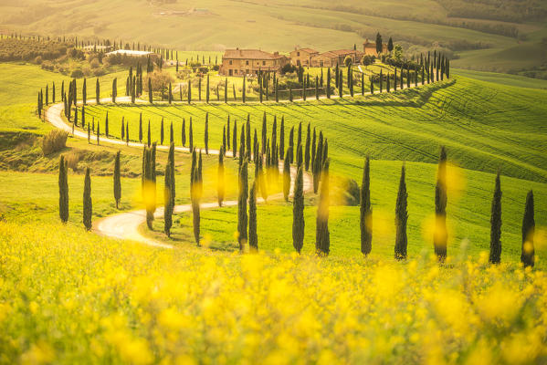 Podere Baccoleno, Asciano, Crete senesi, Tuscany, Italy