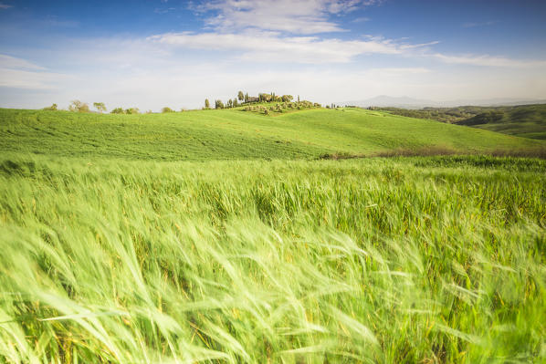 Asciano countryside, Crete senesi, Tuscany, Italy
