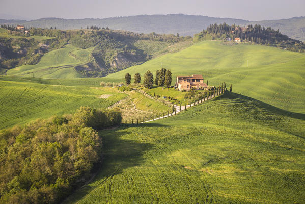 Asciano countryside, Crete senesi, Tuscany, Italy