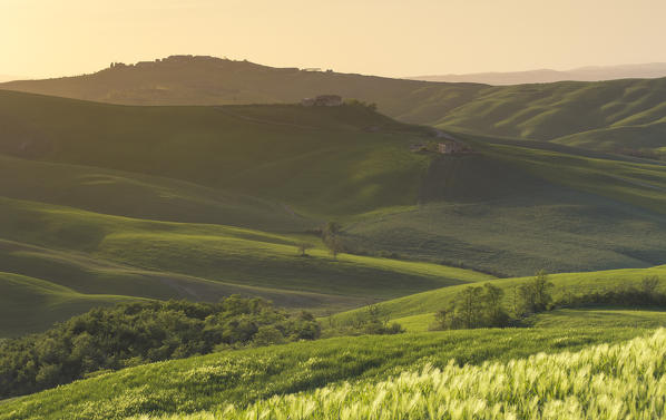 Asciano countryside, Crete senesi, Tuscany, Italy