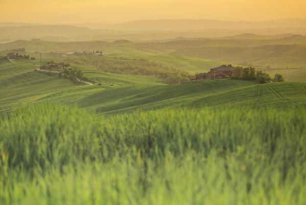 Asciano countryside, Crete senesi, Tuscany, Italy