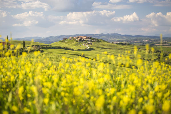 Mucigliani, Crete senesi, Tuscany, Italy