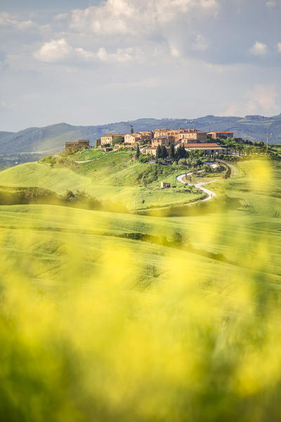 Mucigliani, Crete senesi, Tuscany, Italy