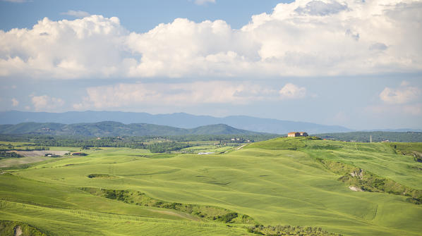 Mucigliani countryside, Crete senesi, Tuscany, Italy