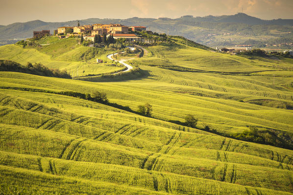 Mucigliani, Crete senesi, Tuscany, Italy