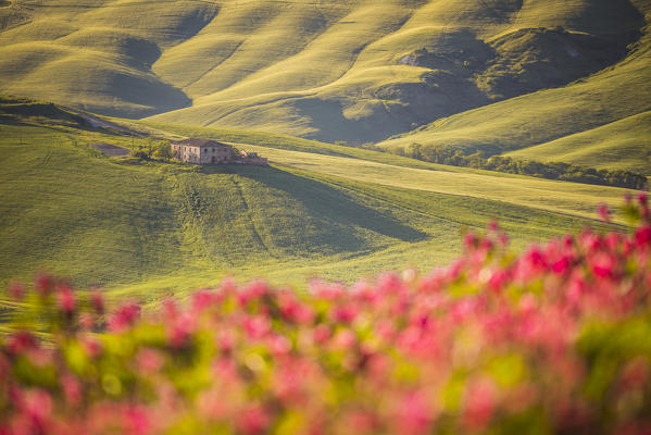 Asciano, Crete senesi, Tuscany, Italy