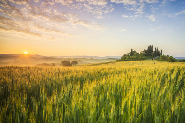 Podere Belvedere, San Quirico d'Orcia, Val d'Orcia, Tuscany, Italy