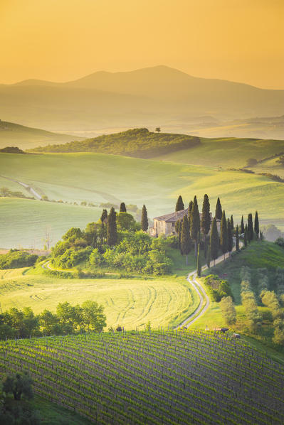 Podere Belvedere, San Quirico d'Orcia, Val d'Orcia, Tuscany, Italy