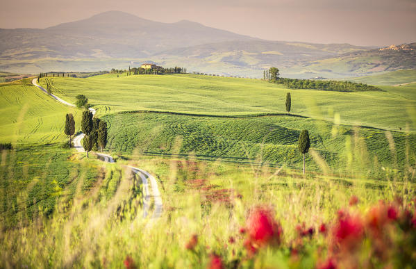 Podere Terrapille, Pienza, Val d'Orcia, Tuscany, Italy