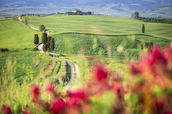 Podere Terrapille, Pienza, Val d'Orcia, Tuscany, Italy