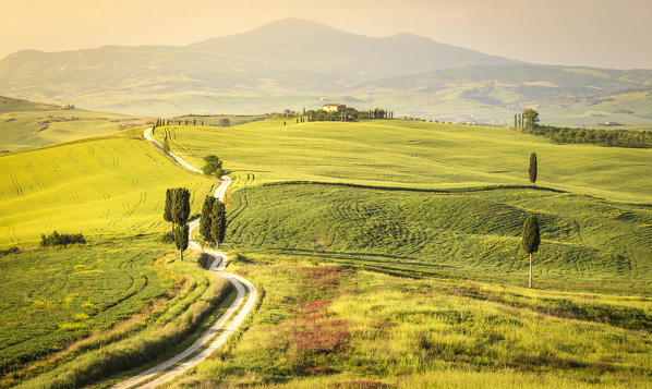 Podere Terrapille, Pienza, Val d'Orcia, Tuscany, Italy