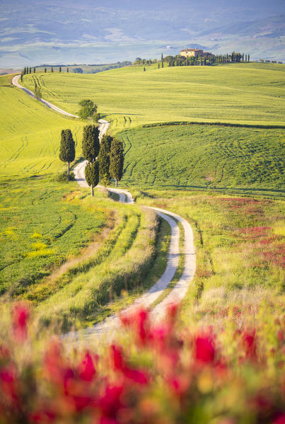 Podere Terrapille, Pienza, Val d'Orcia, Tuscany, Italy