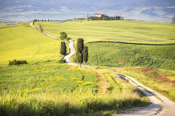 Podere Terrapille, Pienza, Val d'Orcia, Tuscany, Italy