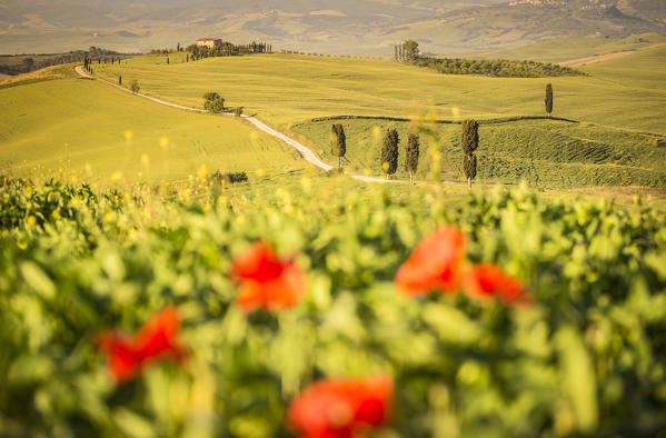 Podere Terrapille, Pienza, Val d'Orcia, Tuscany, Italy