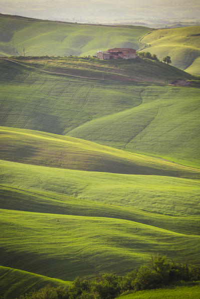 Crete senesi, Asciano, Tuscany, Italy