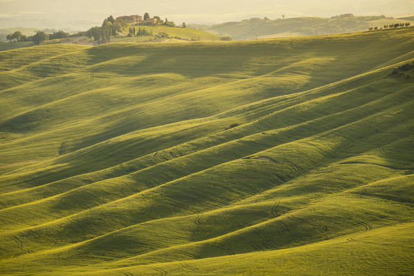 Crete senesi, Asciano, Tuscany, Italy