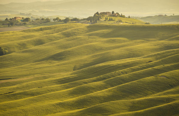 Crete senesi, Asciano, Tuscany, Italy