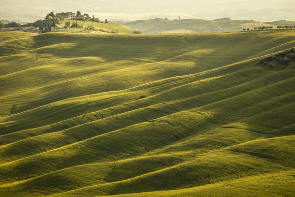 Crete senesi, Asciano, Tuscany, Italy