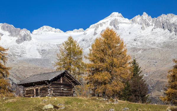 A typical wooden house with Alps on the background, Trentino Alto Adige, Italy