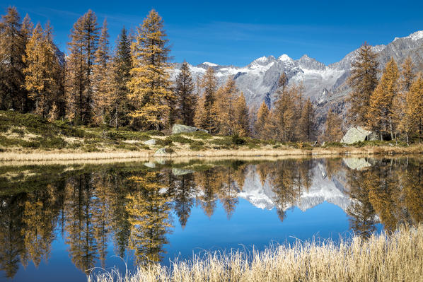 San Giuliano lake, Trentino Alto Adige, Italy