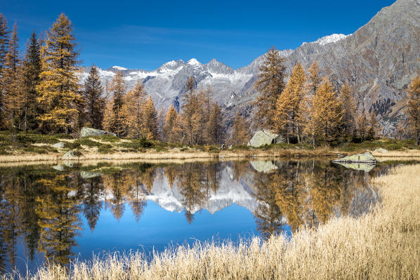 San Giuliano lake, Trentino Alto Adige, Italy