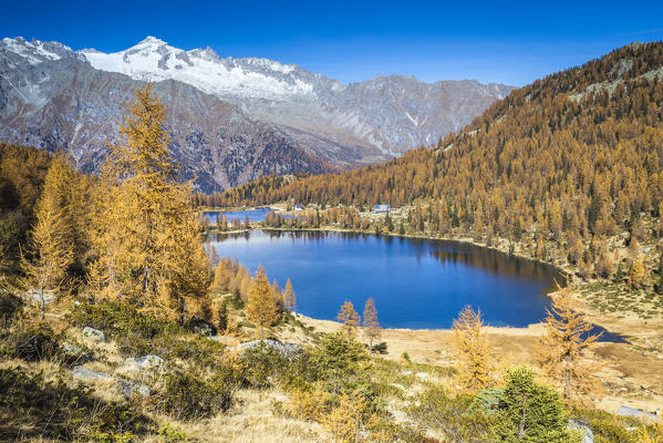 San Giuliano lake, Trentino Alto Adige, Italy