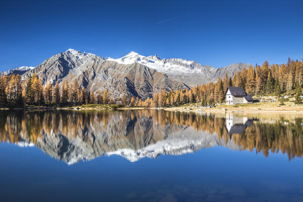 San Giuliano lake, Trentino Alto Adige, Italy