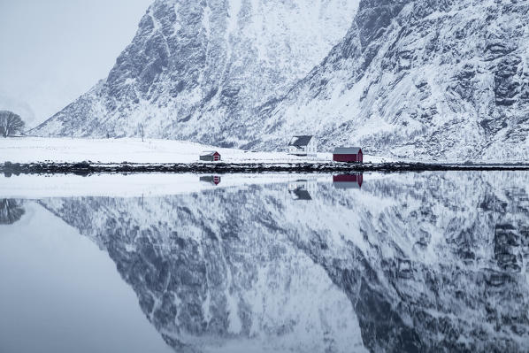 Iconic rorbuer reflecting itself on a lake, Lofoten Island, Norway