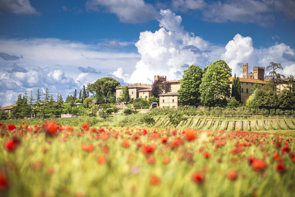 Typical, little village among Tuscany hills. Siena Contryside, Tuscany, Italy